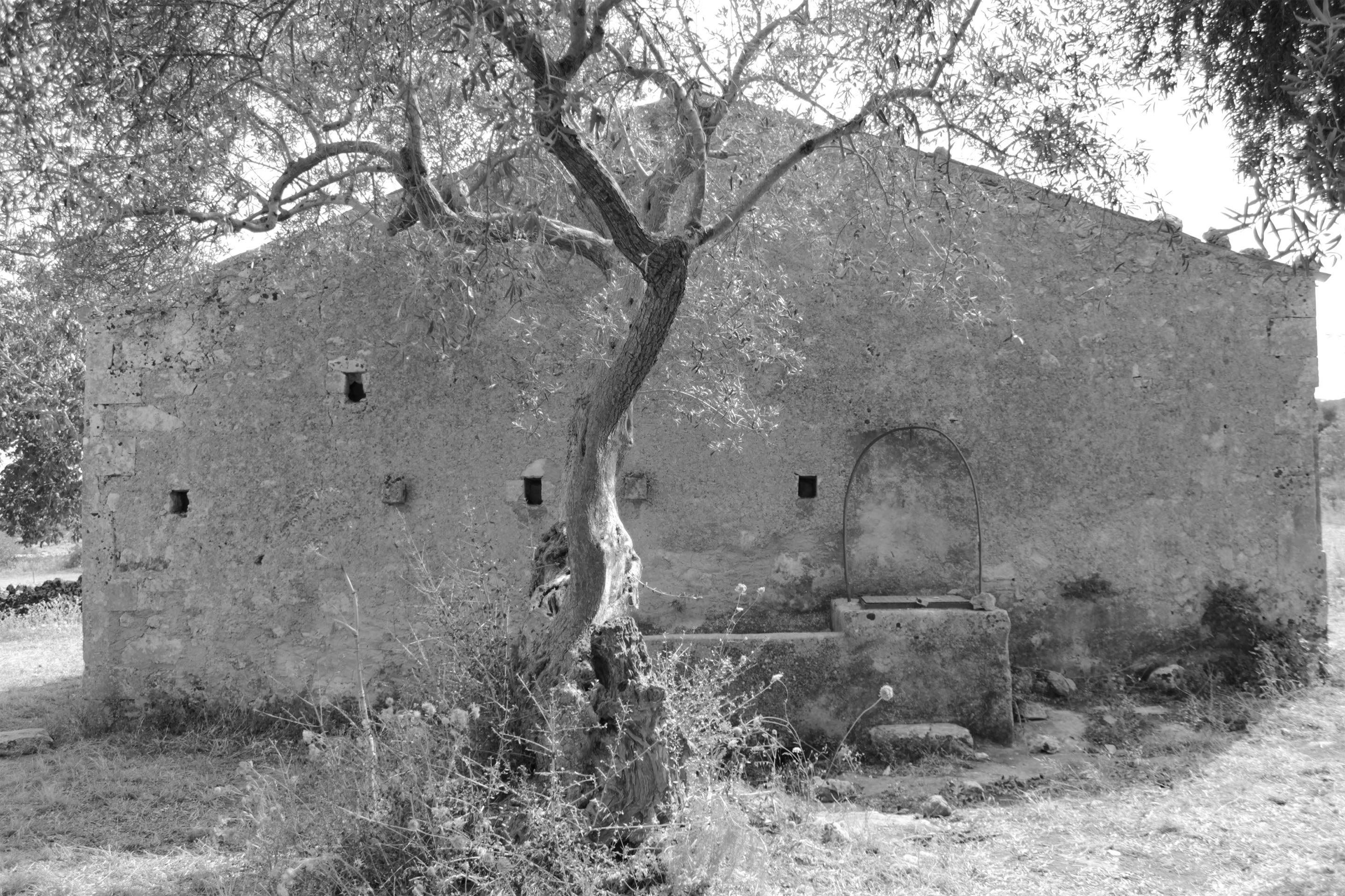 https://studiogum.it/media/pages/casa-farfaglia/5196cfcd76-1688574633/studio-gum_casa-farfaglia_17.jpg